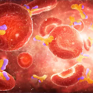 Monoclonal antibodies