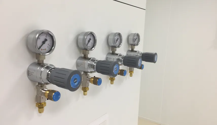 Novasep’s flagship viral vector facility gets our finishing touch